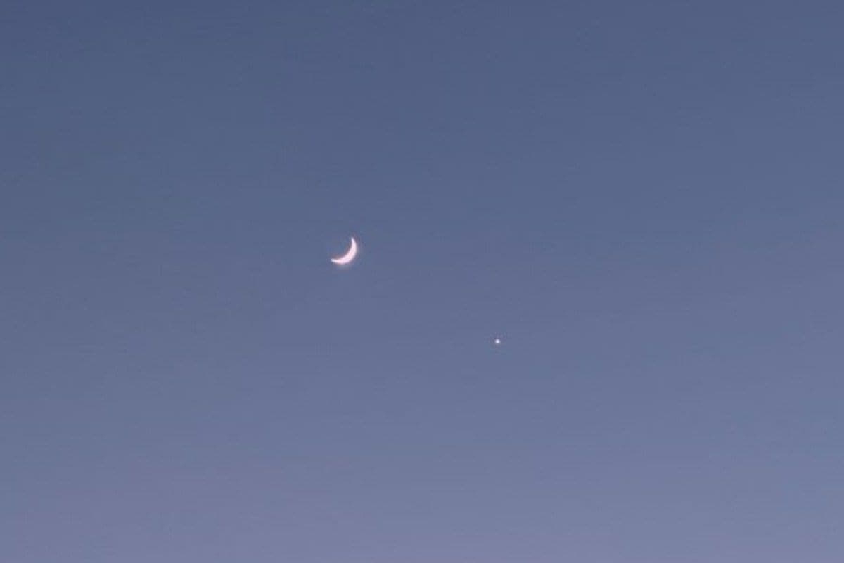 Everything You Need To Know About Venus