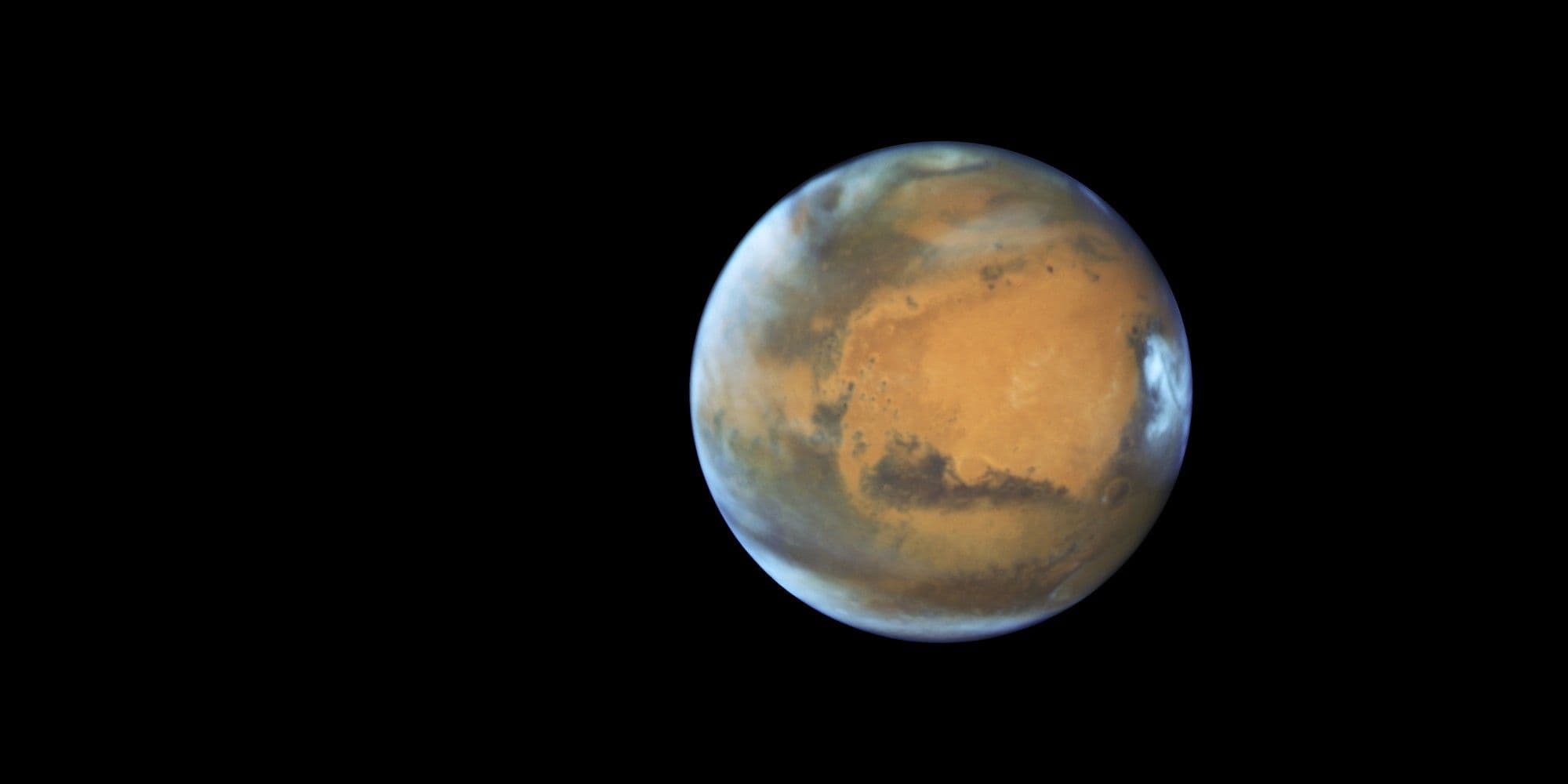 Ode to the Martian: The Long Search for Life on Mars